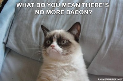 Bacon.jpg (61.67 KiB) Viewed 2598 times Bacon.jpg