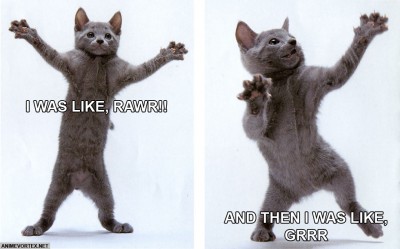 Cat-Rawr-Grr.jpg (298.58 KiB) Viewed 4721 times Cat-Rawr-Grr.jpg